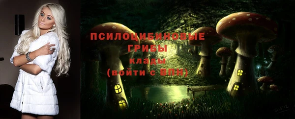 MDMA Заволжск