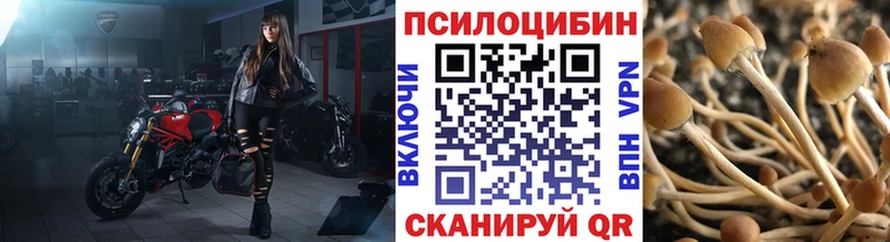 Псилоцибиновые грибы Magic Shrooms  Купить закладки  Находка 